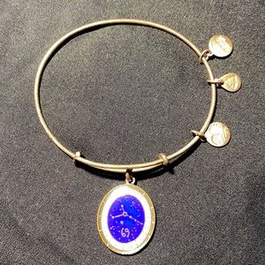 Alex and Ani Cancer Constellation Bracelet